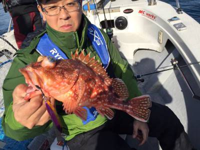 シーモンキー 釣果