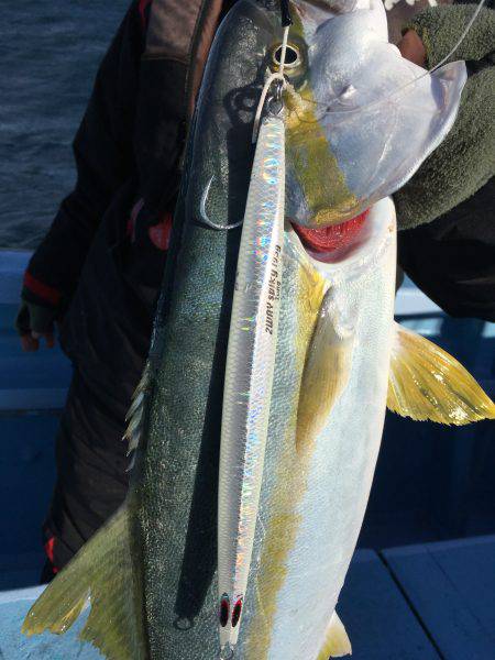 松鶴丸 釣果