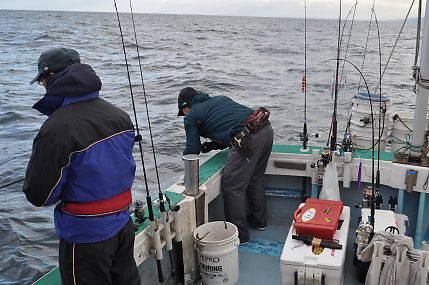 八海丸 釣果