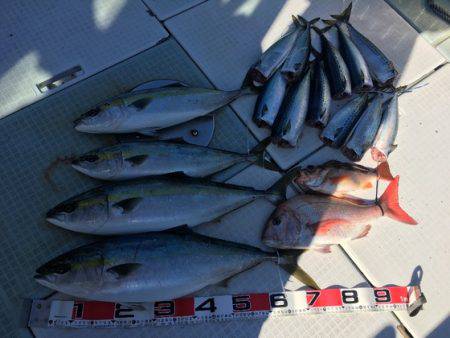 ふじしめ丸 釣果