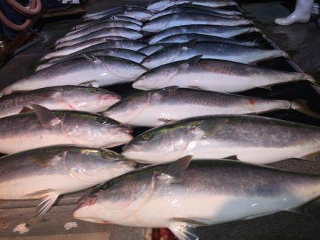 幸風（さちかぜ） 釣果