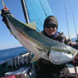 清和丸 釣果