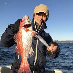 たいし丸 釣果