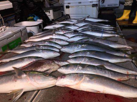 幸風（さちかぜ） 釣果