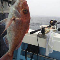 海晴丸 釣果