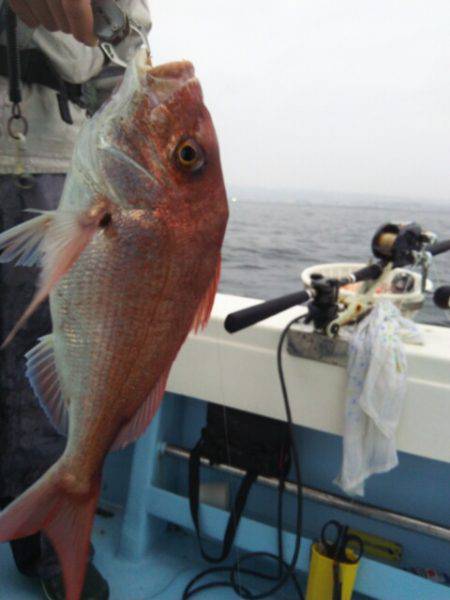 海晴丸 釣果