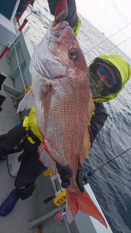 桃太郎 釣果