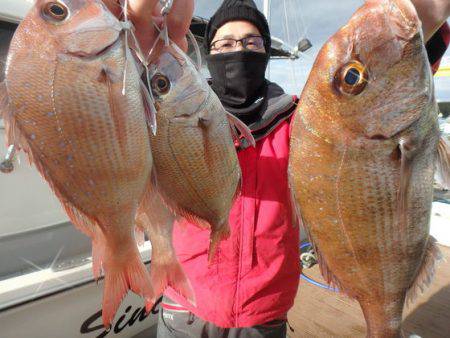 美里丸 釣果