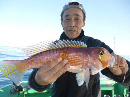 真祐丸 （しんゆうまる） 釣果