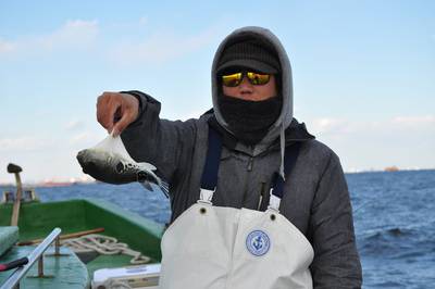 根岸丸 釣果