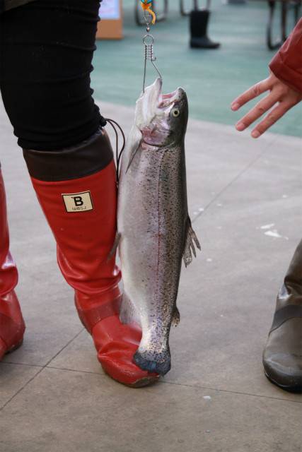 としまえんフィッシングエリア 釣果