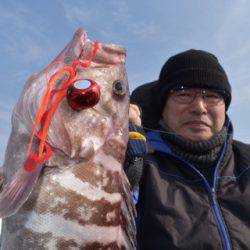 渡船屋たにぐち 釣果