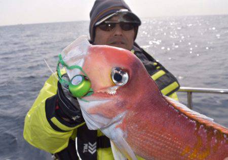 渡船屋たにぐち 釣果