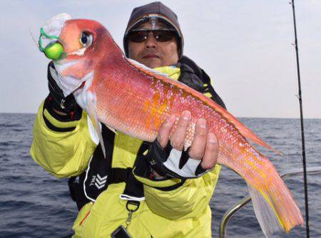 渡船屋たにぐち 釣果