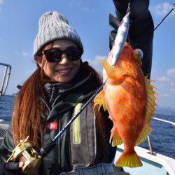 渡船屋たにぐち 釣果