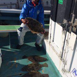 丸万釣船 釣果