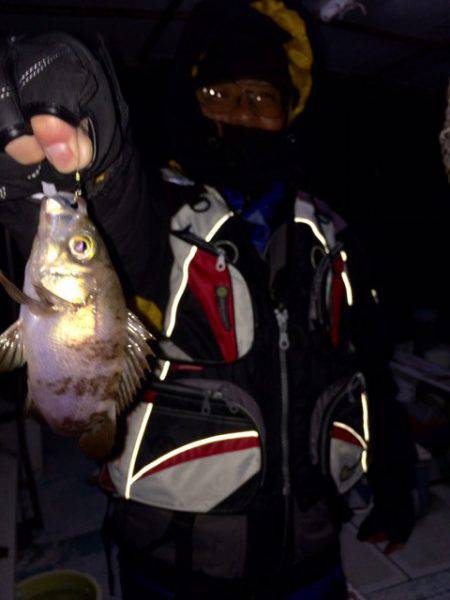 釣人家 釣果