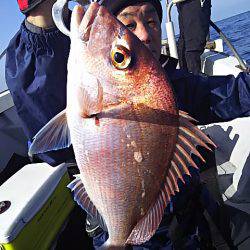 光生丸 釣果