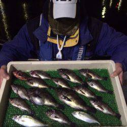 釣人家 釣果