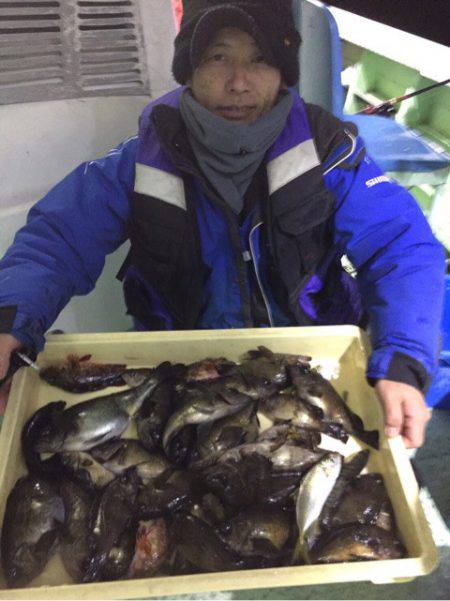 ヤザワ渡船 釣果