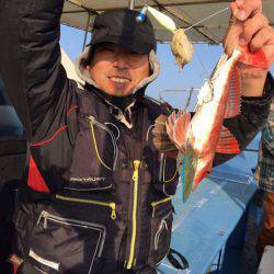 ヤザワ渡船 釣果