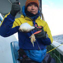 ヤザワ渡船 釣果