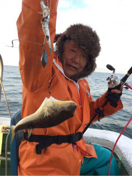 ヤザワ渡船 釣果