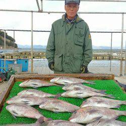 海の釣堀 海恵 釣果