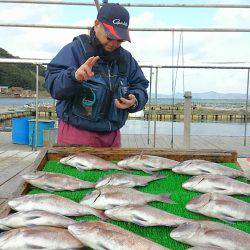 海の釣堀 海恵 釣果