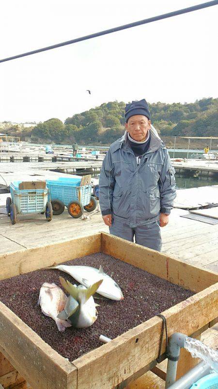 海の釣堀 海恵 釣果