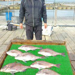 海の釣堀 海恵 釣果