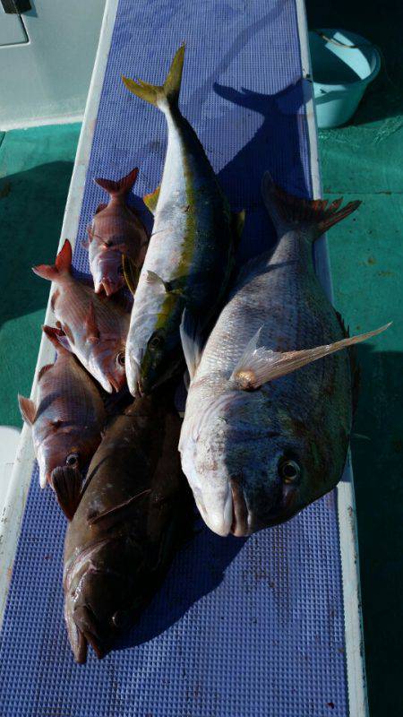 富士丸 釣果