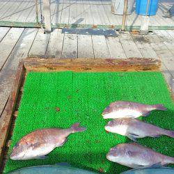 海の釣堀 海恵 釣果