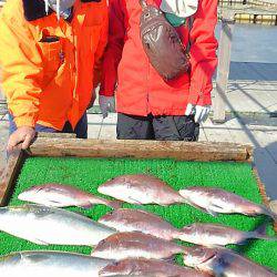 海の釣堀 海恵 釣果