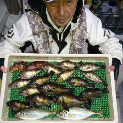 釣人家 釣果