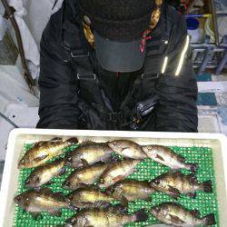 釣人家 釣果