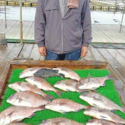 海の釣堀 海恵 釣果