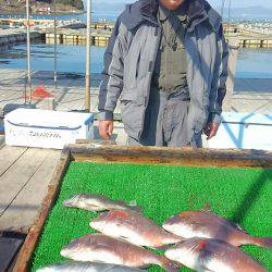 海の釣堀 海恵 釣果