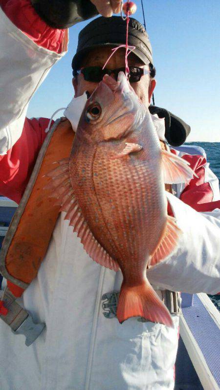 新幸丸 釣果