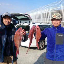 だて丸 釣果