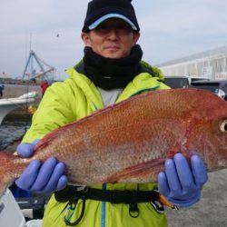 だて丸 釣果