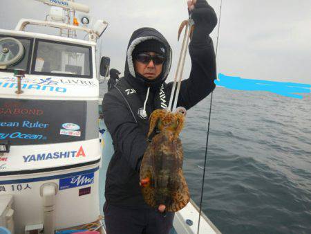 きずなまりん 釣果