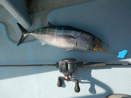 きずなまりん 釣果