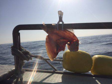 海季丸（みきまる） 釣果