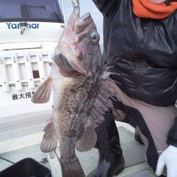 ひな丸 釣果