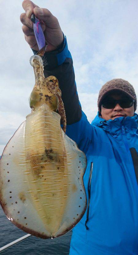 シースナイパー海龍 釣果