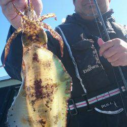 シースナイパー海龍 釣果