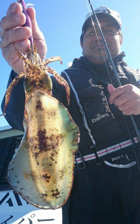 シースナイパー海龍 釣果