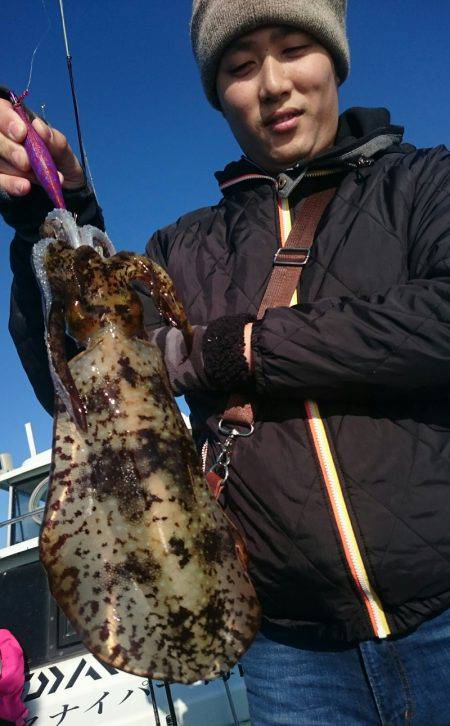 シースナイパー海龍 釣果