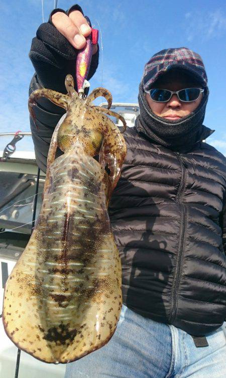 シースナイパー海龍 釣果